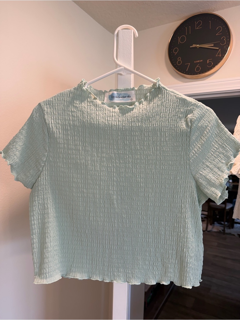 aerie Mint Green Crinkled Short Sleeve Top